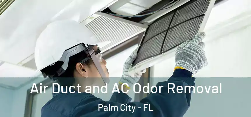 Air Duct and AC Odor Removal Palm City - FL
