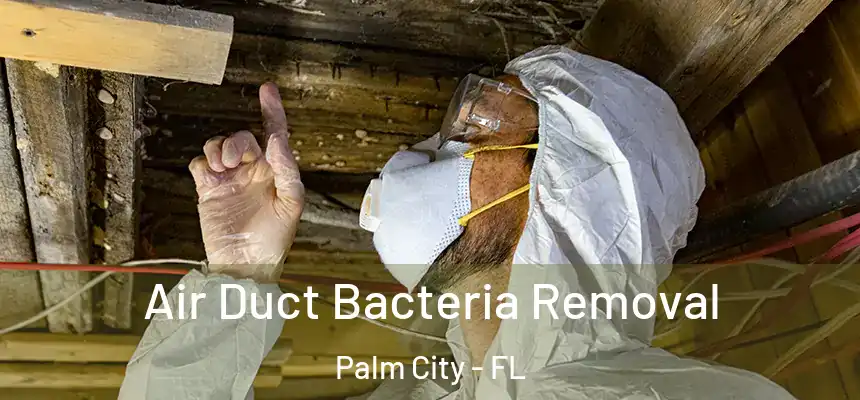 Air Duct Bacteria Removal Palm City - FL