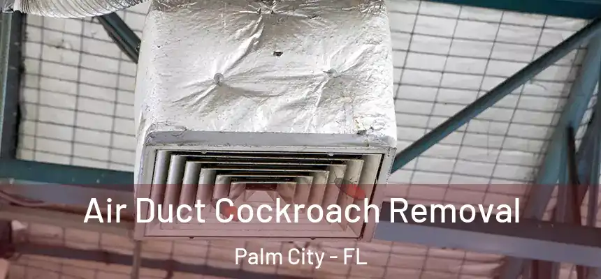 Air Duct Cockroach Removal Palm City - FL