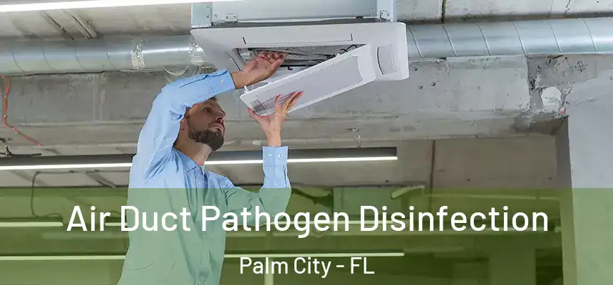 Air Duct Pathogen Disinfection Palm City - FL