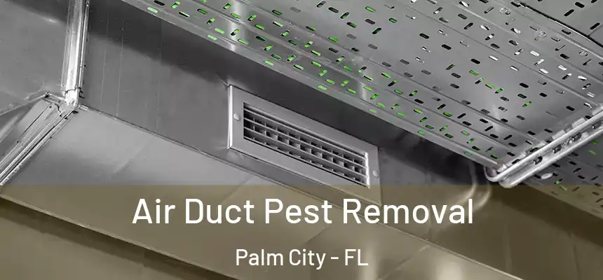 Air Duct Pest Removal Palm City - FL