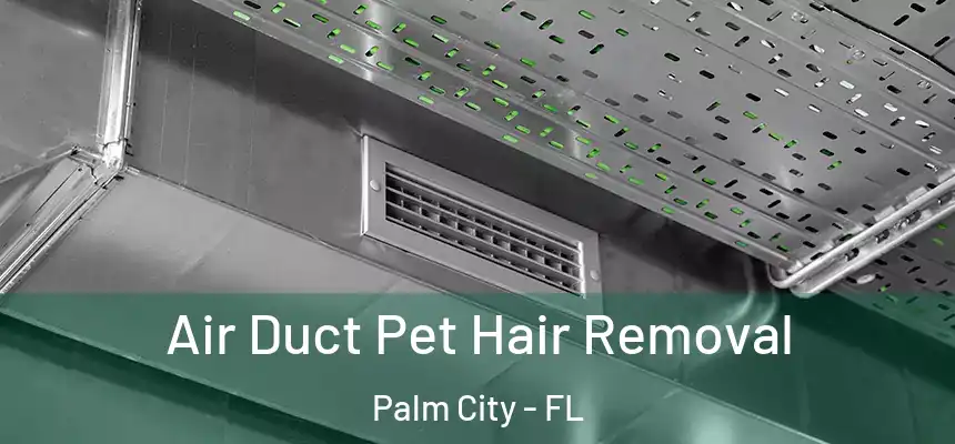 Air Duct Pet Hair Removal Palm City - FL