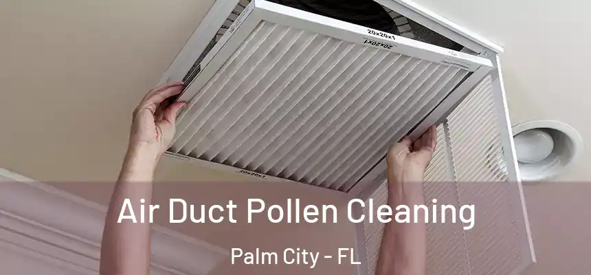 Air Duct Pollen Cleaning Palm City - FL