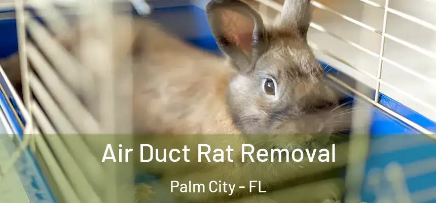 Air Duct Rat Removal Palm City - FL