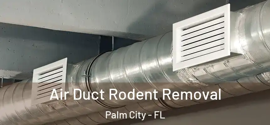 Air Duct Rodent Removal Palm City - FL