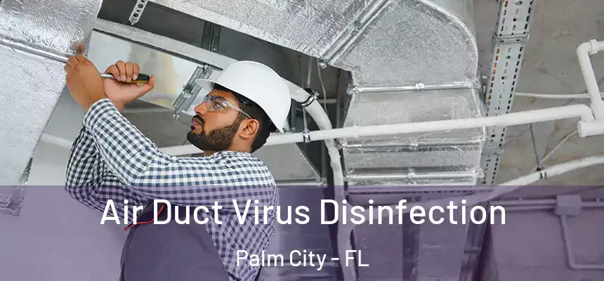 Air Duct Virus Disinfection Palm City - FL