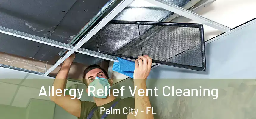 Allergy Relief Vent Cleaning Palm City - FL