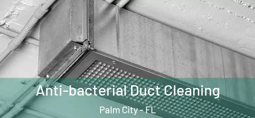 Anti-bacterial Duct Cleaning Palm City - FL