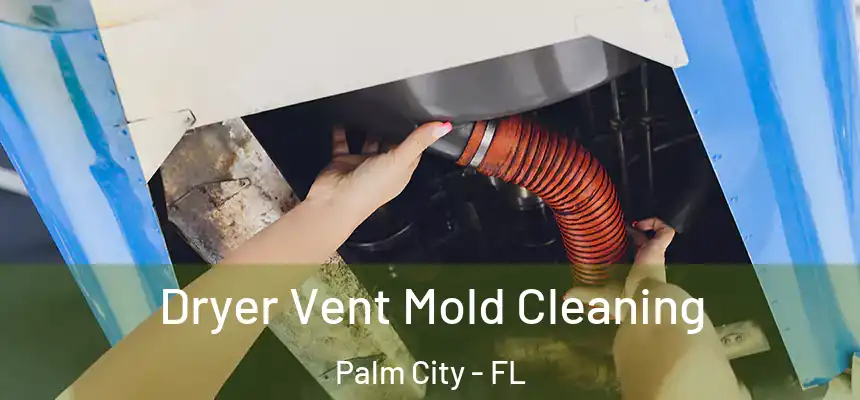 Dryer Vent Mold Cleaning Palm City - FL