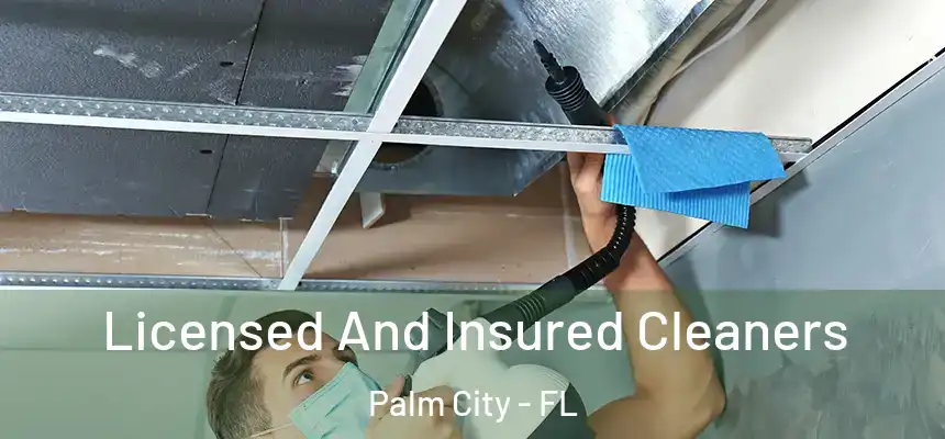 Licensed And Insured Cleaners Palm City - FL