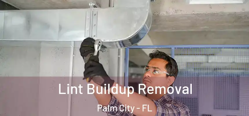 Lint Buildup Removal Palm City - FL