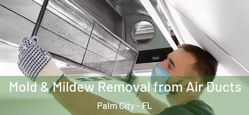 Mold & Mildew Removal from Air Ducts Palm City - FL