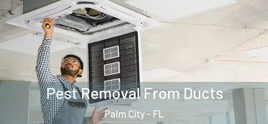 Pest Removal From Ducts Palm City - FL