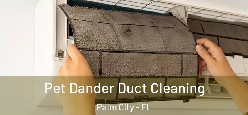 Pet Dander Duct Cleaning Palm City - FL