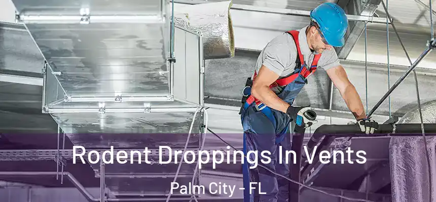Rodent Droppings In Vents Palm City - FL