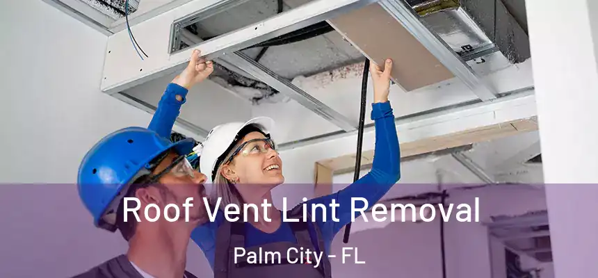 Roof Vent Lint Removal Palm City - FL