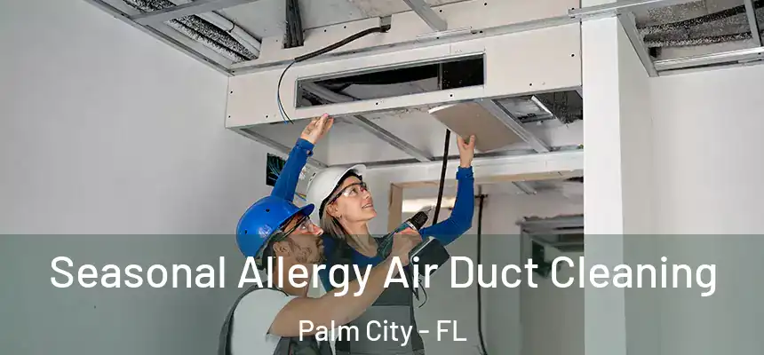 Seasonal Allergy Air Duct Cleaning Palm City - FL