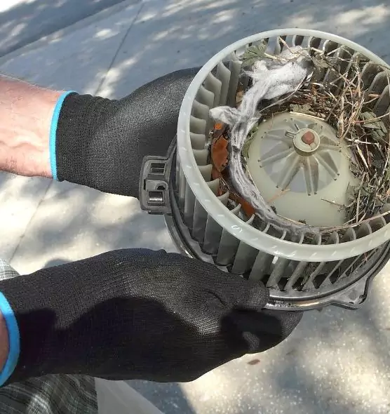 About Air Duct Mice Removal in Palm City, FL