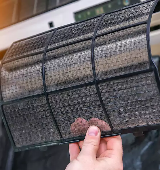 About Pet Dander Duct Cleaning in Palm City, FL